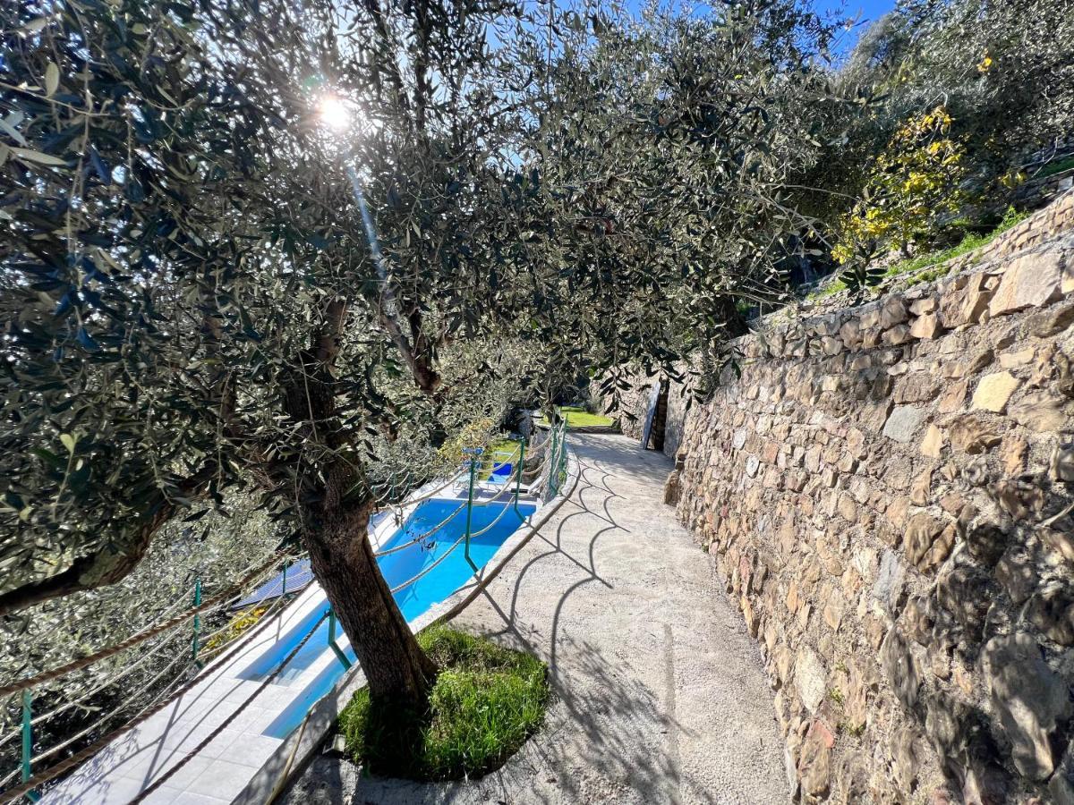 Villa Di Campagna Con Vista Mare 5 Camere Da Letto Pampara Eksteriør bilde